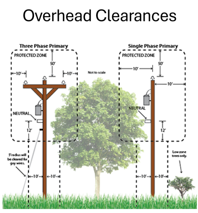 Tree Clearance